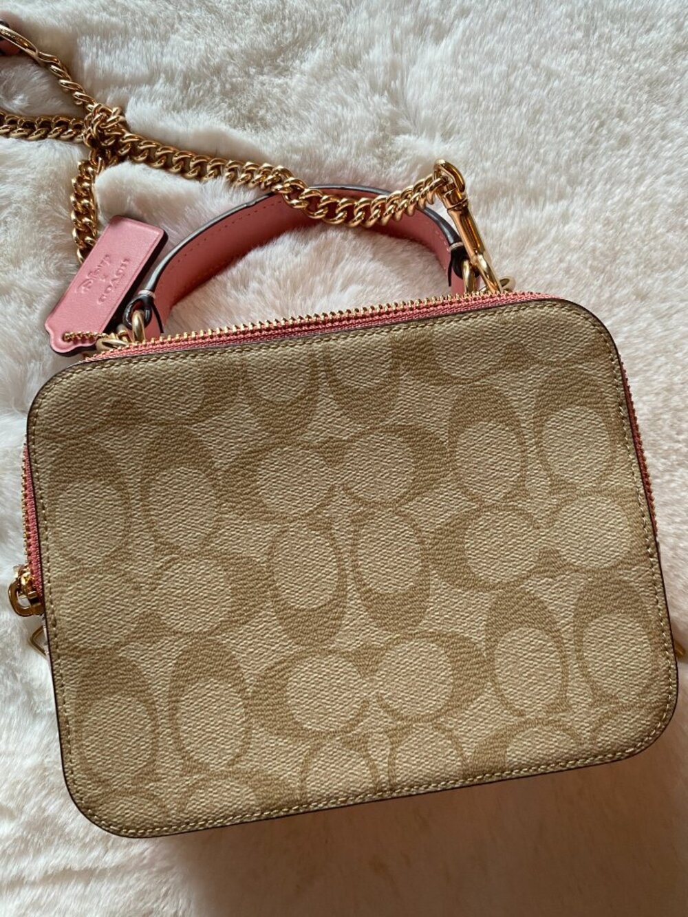 Coach Disney Cinderella Patch Small Crossbody - Picture 3 of 6
